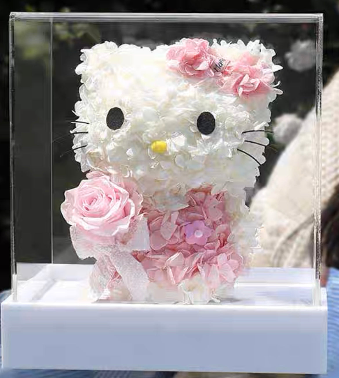 Hello Kitty 繡球永生花