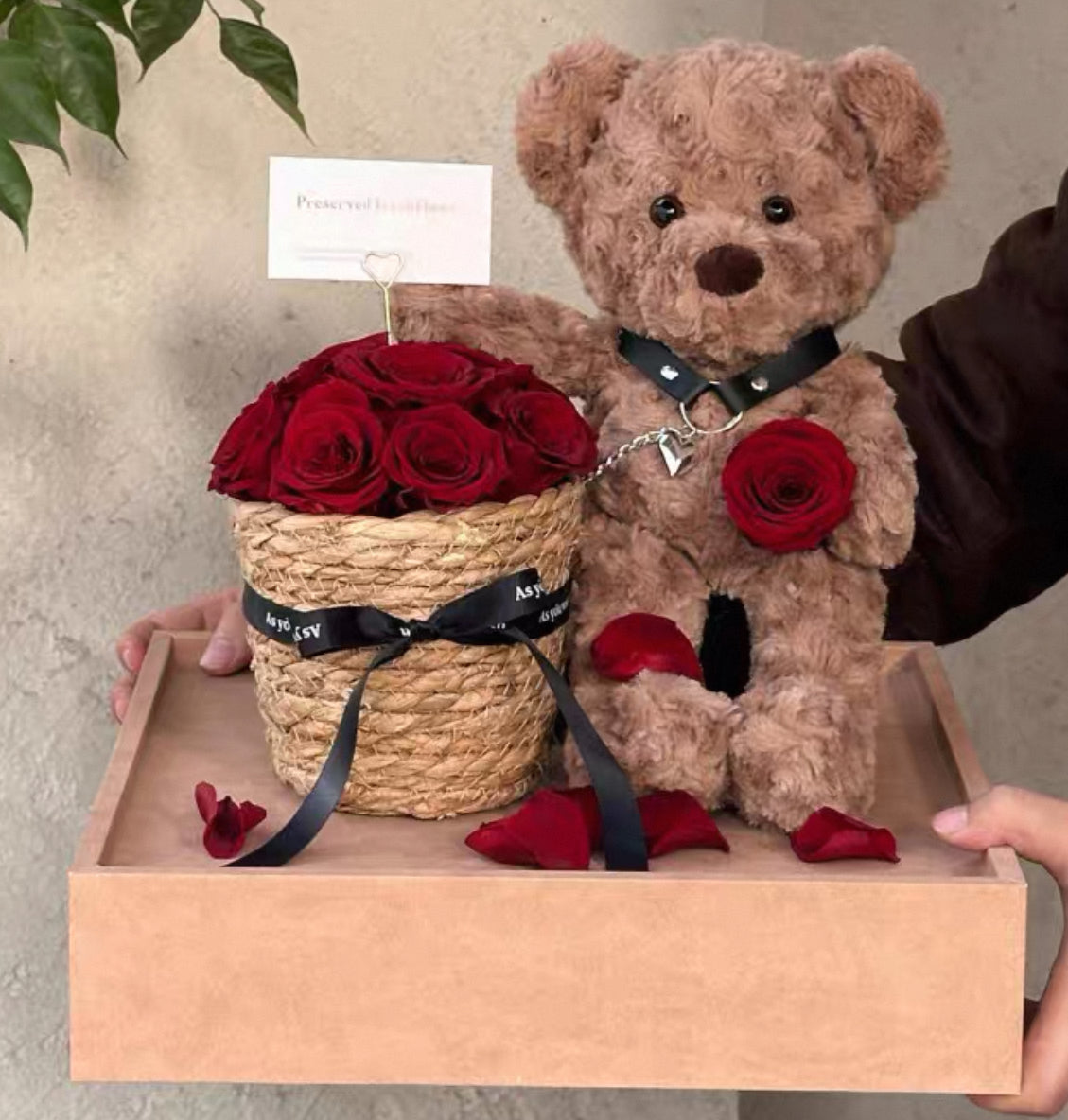 Teddy Bear 繡球永生花 (4色）