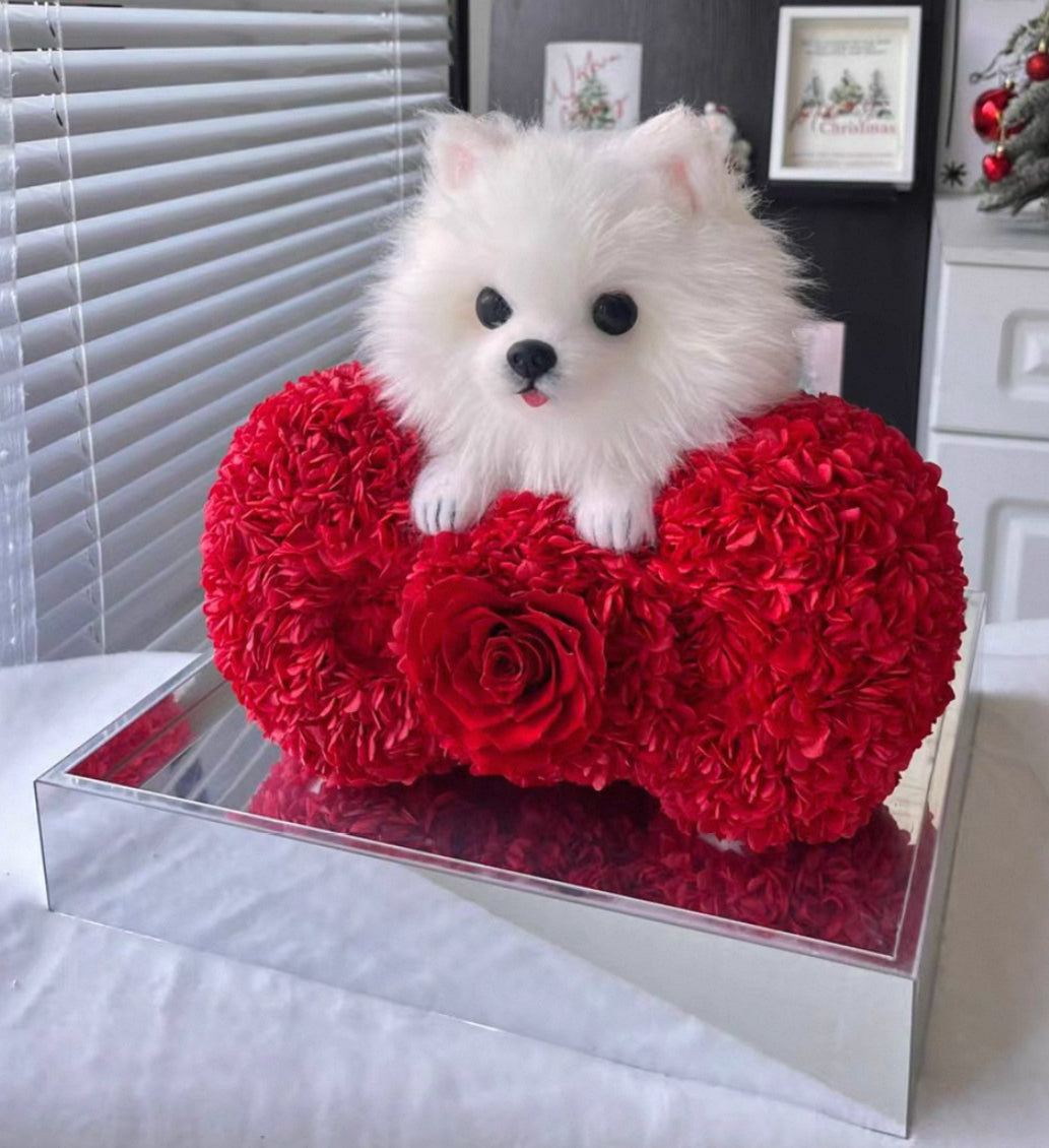 松鼠狗 繡球永生花