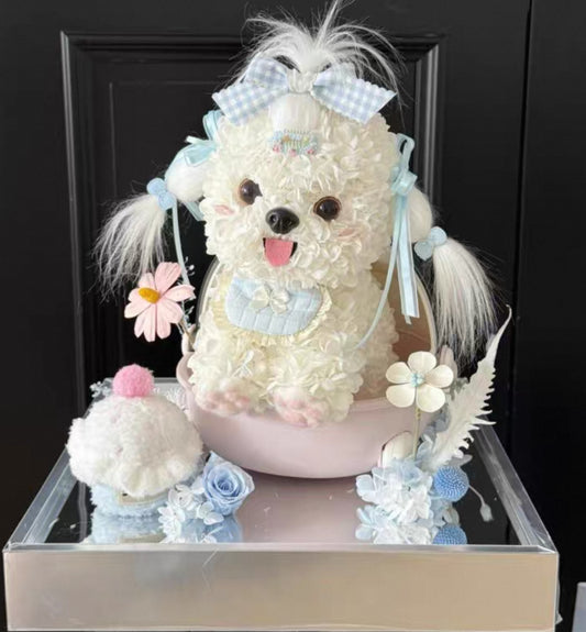 狗仔 繡球永生花