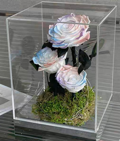 玫瑰花禮盒（亞加力膠盒) - 多色選擇