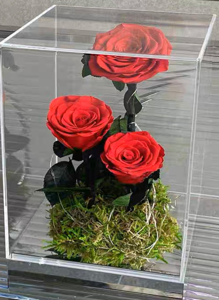玫瑰花禮盒（亞加力膠盒) - 多色選擇